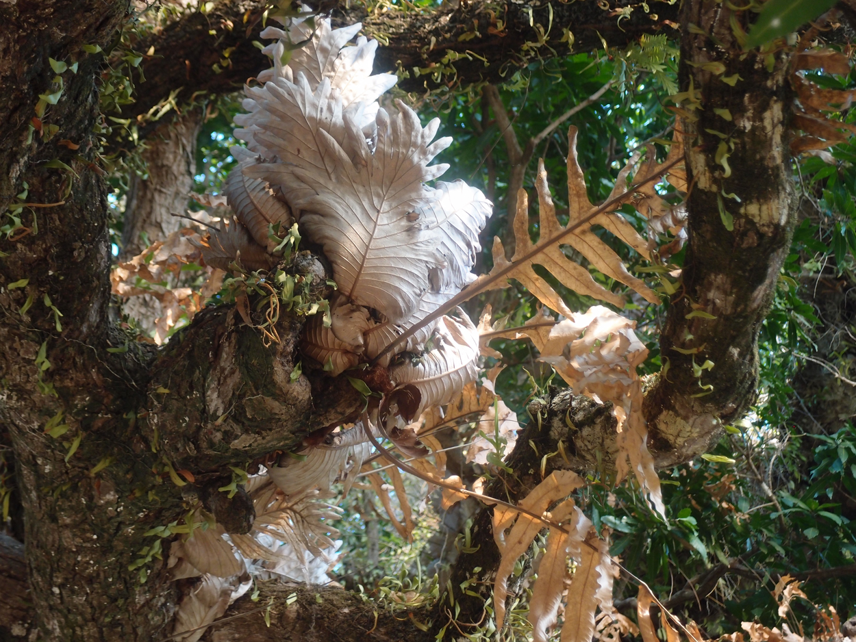 2015-09-23 03 sonnenuntergang (Video)